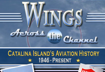 wings